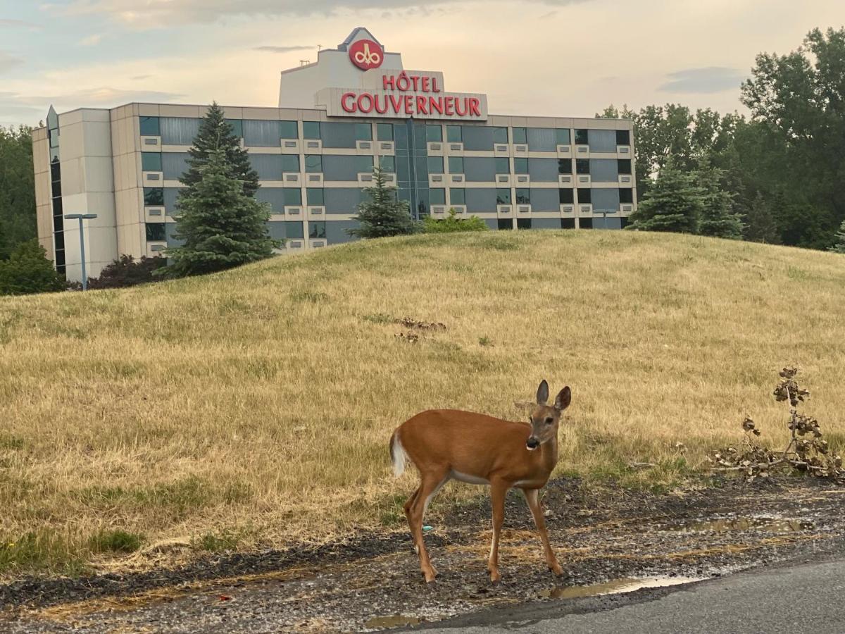 Hotels Gouverneur Montreal - Ile Charron Boucherville Exterior photo